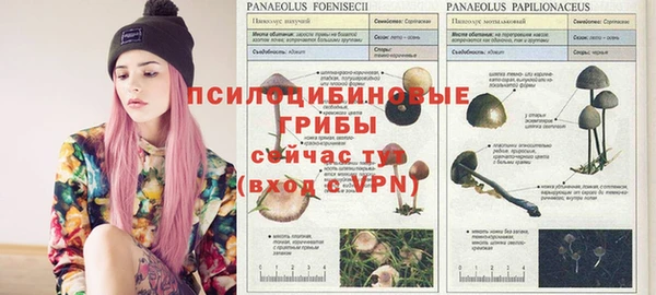 MESCALINE Алзамай