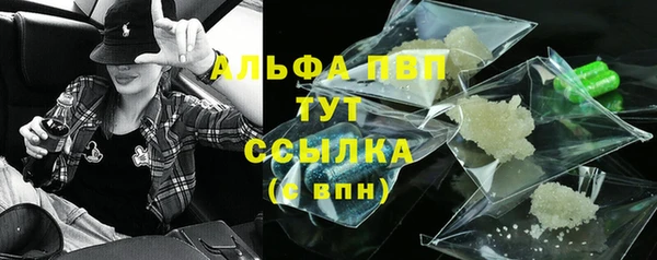 мет Алексин