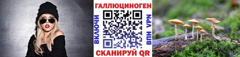 Купить  Подпорожье  Псилоцибиновые грибы Magic Shrooms 